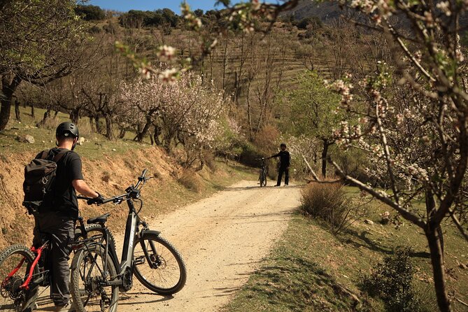 Granada: Nature, Wildlife and Authentic Villages E-bike Tour - Price and value: why $93 feels reasonable for a 6-hour mountain day