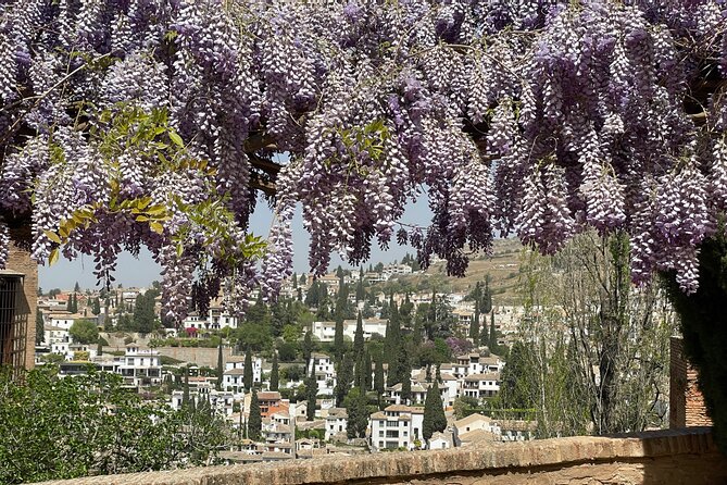 Granada : Private Alhambra Tour + Nazaries Palaces (VIP) - Generalife Gardens: your calmer entrance into the Alhambra