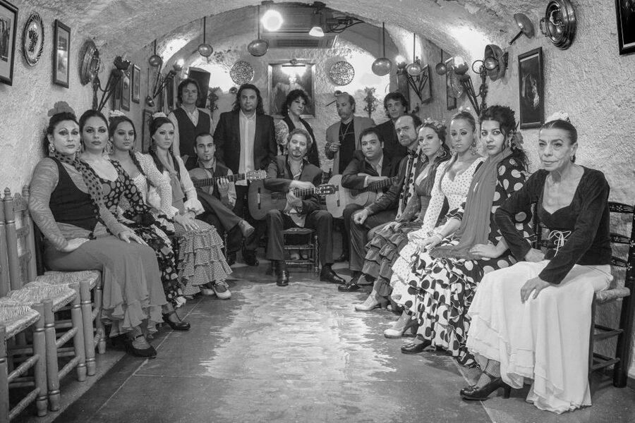 Granada: Sacromonte Caves Flamenco Show with Dinner - Who This Suits Best (and Who Might Skip)