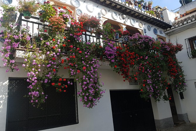 Granada Segway Tour to Albaicin and Sacromonte - Sacromonte: Gypsy Cave Legends and Flamenco After Dark
