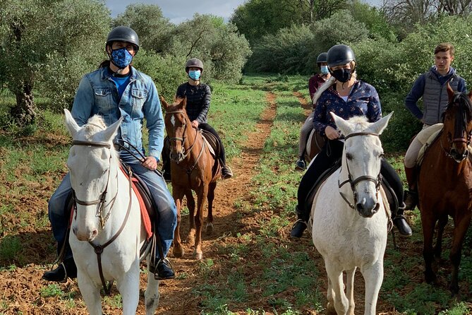 Granada & Sierra Nevada Horse Riding Tour - Meet the Ranch People and Step Onto Spanish Horses