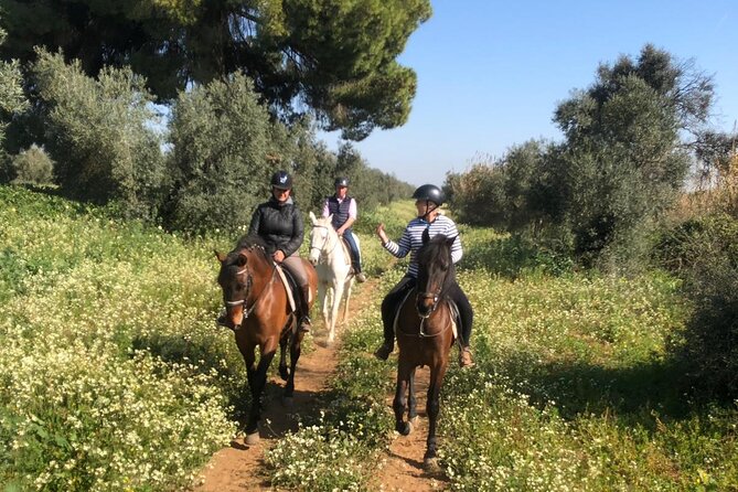 Granada & Sierra Nevada Horse Riding Tour - Safety, Gear, and Comfort That Actually Help