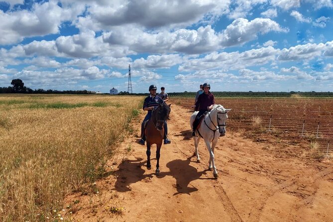 Granada & Sierra Nevada Horse Riding Tour - Price and Logistics: Does $150.51 Offer Real Value?