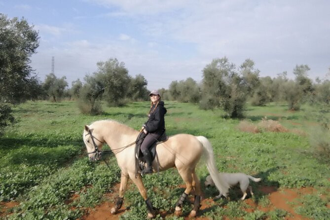 Granada & Sierra Nevada Horse Riding Tour - Should You Book the Granada & Sierra Nevada Horse Riding Tour?