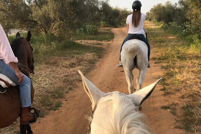 Granada & Sierra Nevada Horse Riding Tour - FAQ