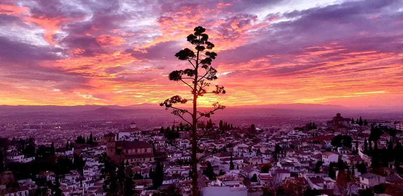 Granada: "Street Art & The Caves" Unique Guided Walking Tour - Granada Cathedral: finishing where the city shows off