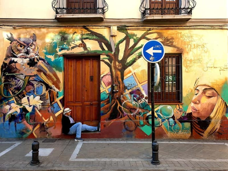 Granada: "Street Art & The Caves" Unique Guided Walking Tour - Price and what you truly get for $35