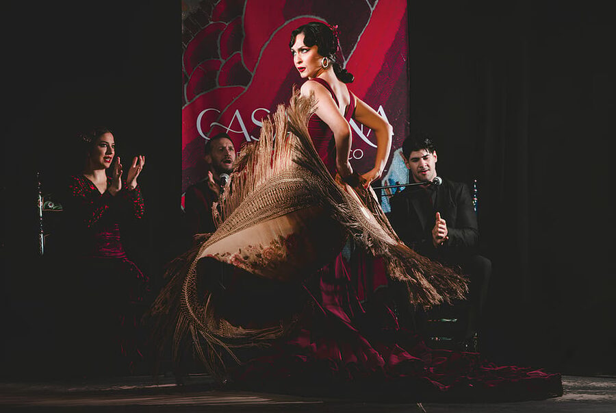 Granada: Traditional Flamenco Show at Tablao Casa Ana - Key things that stand out at Casa Ana