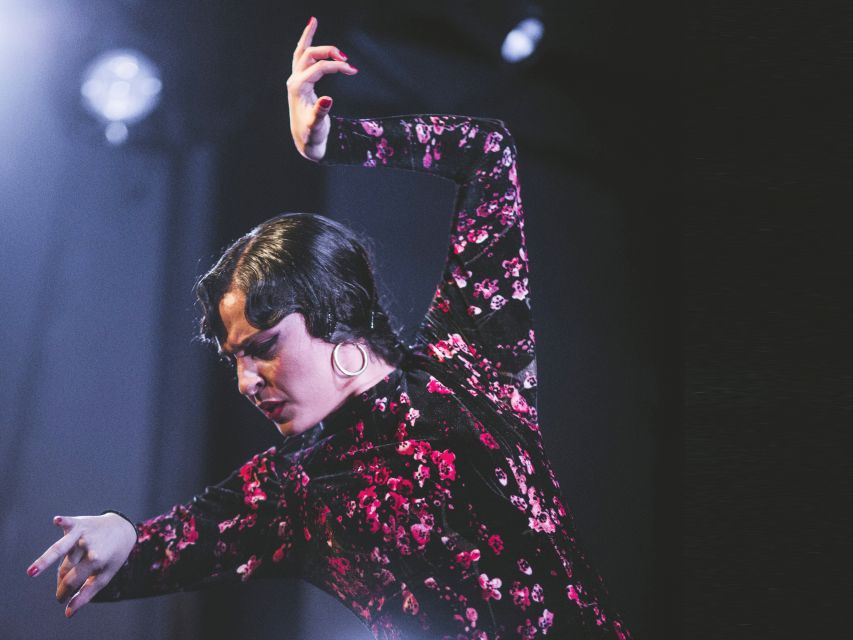 Granada: Traditional Flamenco Show at Tablao Casa Ana - Who Should Go to Tablao Flamenco Casa Ana