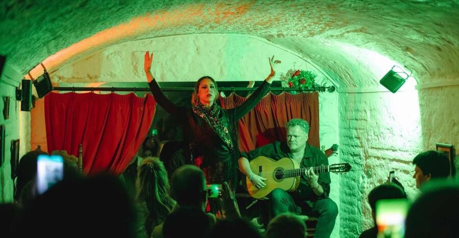 Granada: Traditional Flamenco Show in a Cave Entry Ticket - The Included Drink and What to Buy During the Performance