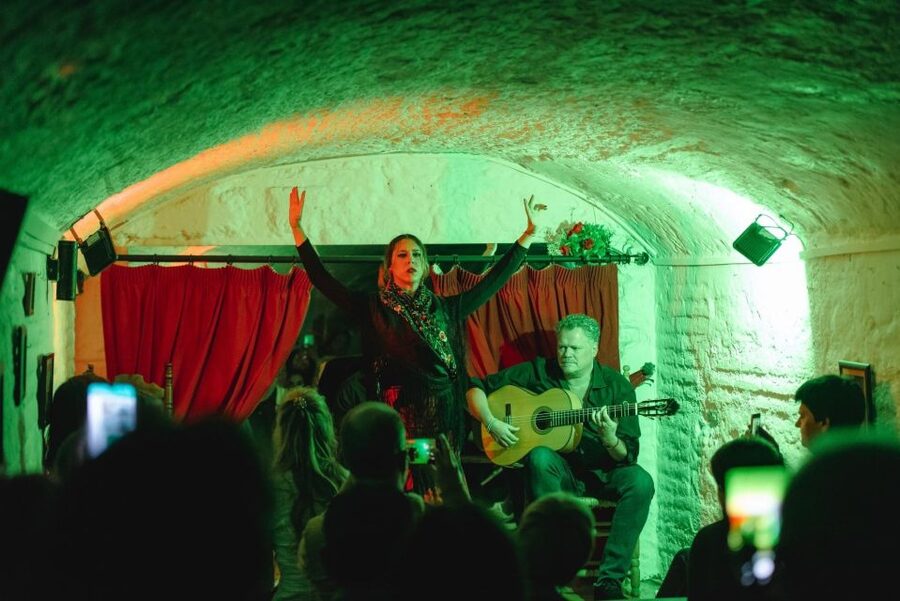 Granada: Traditional Flamenco Show in a Cave Entry Ticket - Your One-Hour Show: What Happens After the Doors Open