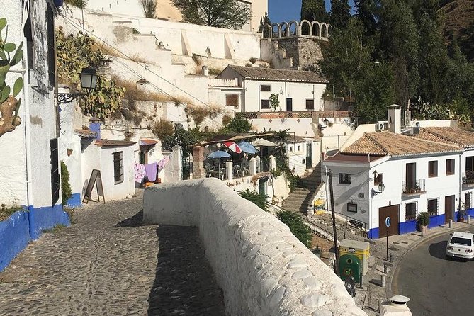 Granada Walking Tour: Albaicin and Sacromonte Quarters - Price and logistics: is $29.92 a fair deal?