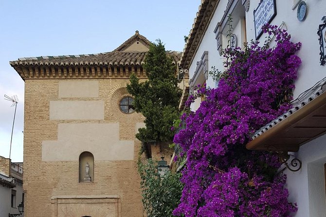 Granada Walking Tour: Albaicin and Sacromonte Quarters - Sacromonte cave houses and Abadia del Sacromonte: flamenco culture in real time