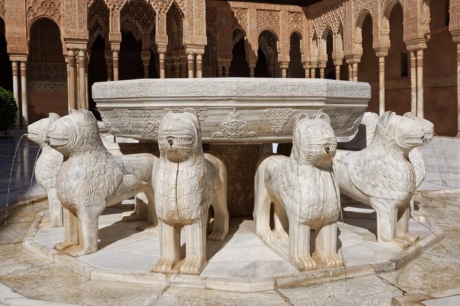 Guided tour of La Alhambra with tickets included - Getting Into the Alhambra: Priority Nasrid Palaces at the 10:00 meeting