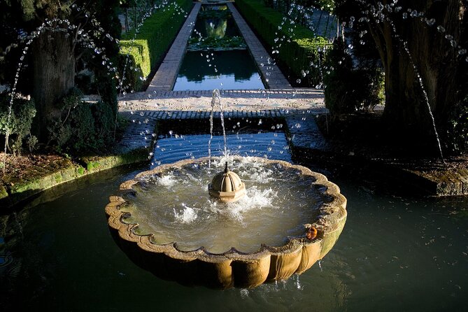 Guided tour of La Alhambra with tickets included - Price and value: what $260.88 buys you (and why it can be fair)