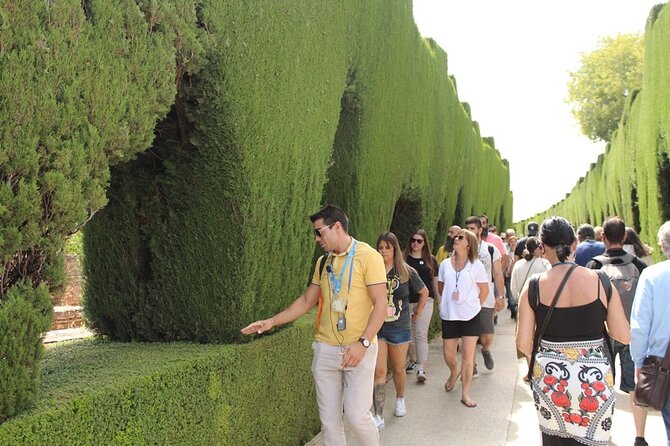 Guided visit to the Alhambra, Nasrid Palaces and Generalife - A tight 3-hour plan that connects palaces, power, and gardens