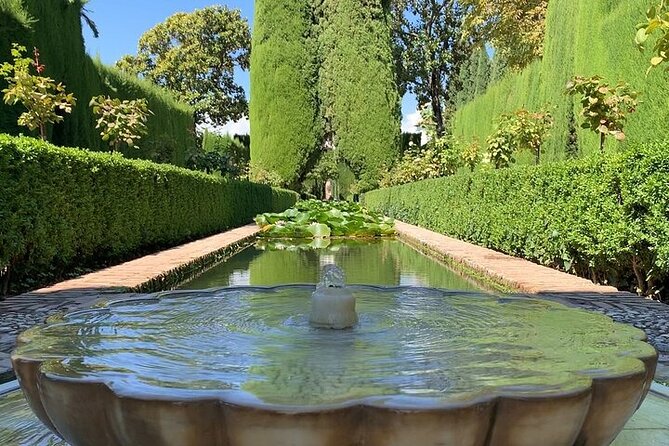 Guided visit to the Alhambra, Nasrid Palaces and Generalife - Calle Real de la Alhambra: covered public life and the Christian layers