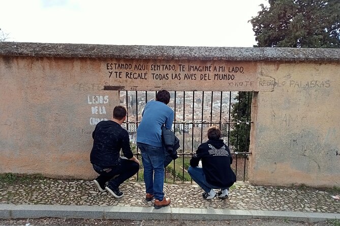 Guided Walking Tour with Panoramic Views and Terraces of Granada - Mirador de Los Carvajales: The First Viewpoint Hit
