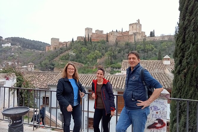 Guided Walking Tour with Panoramic Views and Terraces of Granada - The Cathedral Angle From a Hotel (Plus Nearby Sights)