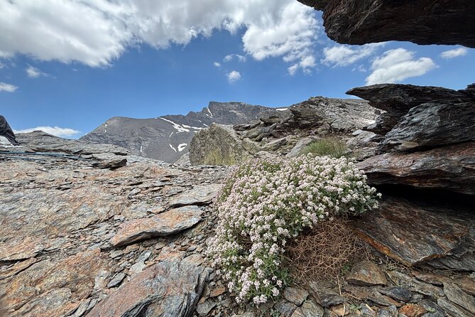 Hiking experience in the High Sierra Nevada National Park - Price and value: what your $71.35 actually buys you