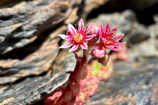 Hiking experience in the High Sierra Nevada National Park - FAQ