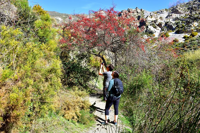 Hiking in the Canyon of the Monachil Cubs in Granada - Where to meet and how the small-group setup works