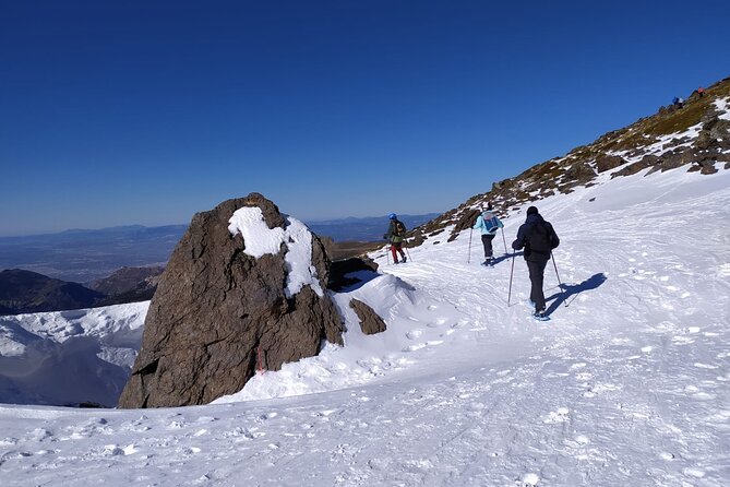 Hiking Snowshoeing in the Sierra Nevada Park, Granada - Key Highlights (Quick Hit)