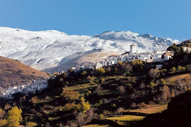 Las Alpujarras Full-Day Tour with Optional Lunch from Granada - Capileira Lunch in the Poqueira Gorge and Village-View Moments