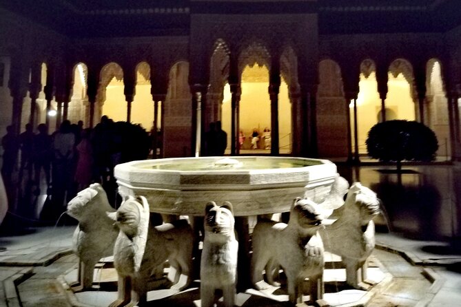 Night Tour of Alhambra and the Nasrid Palaces - Practical Tips for a Smooth Night Alhambra Visit