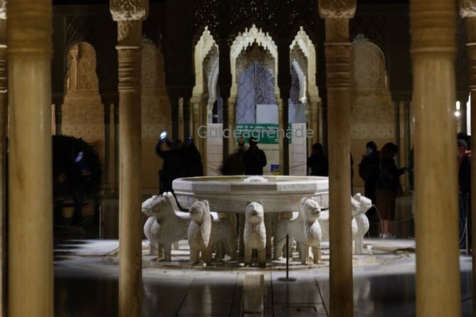 Night Tour of Alhambra and the Nasrid Palaces - Nasrid Palaces After Dark: Mexuar, Comares, and the Palace of Lions
