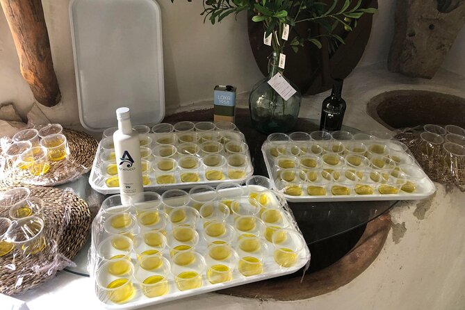 Olive Oil Excursion to an olive mill in the Lecrín Valley - Should You Book the Olive Oil Excursion to the Lecrín Valley?