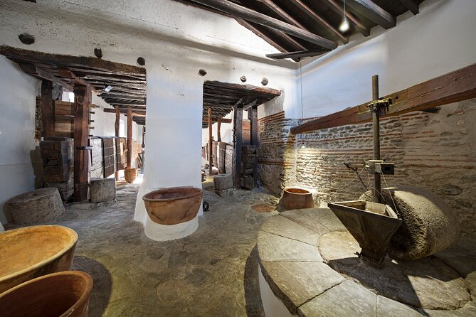 Olive Oil Excursion to an olive mill in the Lecrín Valley - Extra Virgin Oil Tasting: How to Taste Without Pretending
