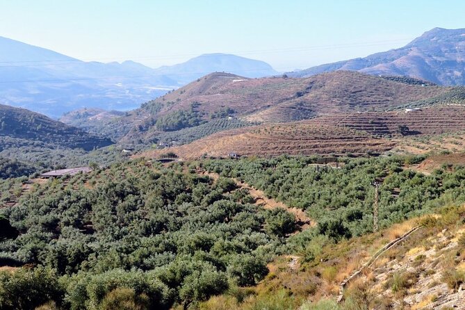 Premium Scenic Daytrip to Alpujarra Villages from Granada (Max 8) - Guides, pacing, and the personal touches that can happen