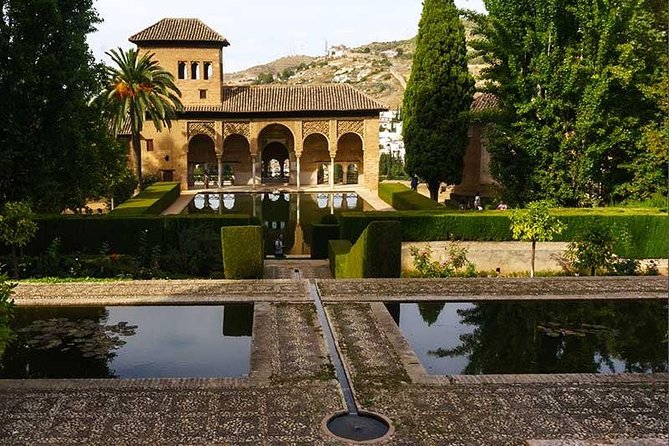 Private Alhambra palace tour and Granada from Motril cruise port - Entering the Alhambra fast: what skip-the-line really changes