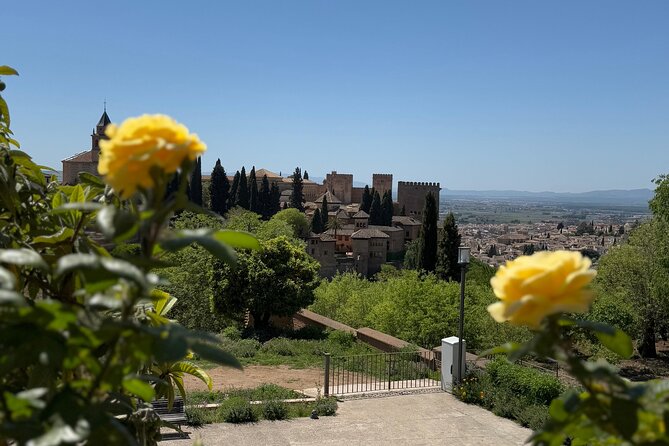 Private Night/Day Alhambra with Nasrid Palaces - Key highlights you can plan around
