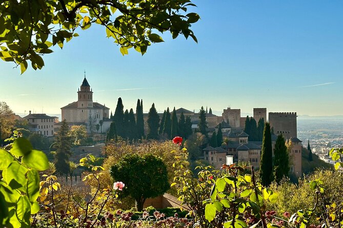 Private Tour of Granada Alhambra with Tickets Included - Entering the Alhambra the smart way: private guide + included tickets