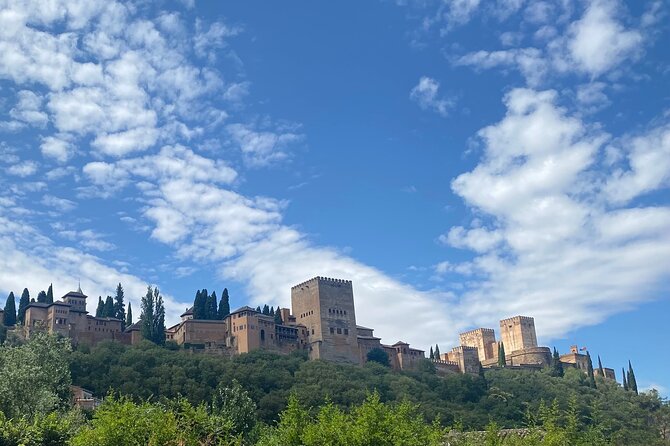Private Tour of Granada Alhambra with Tickets Included - Should you book this Private Tour of Granada Alhambra with Tickets Included?