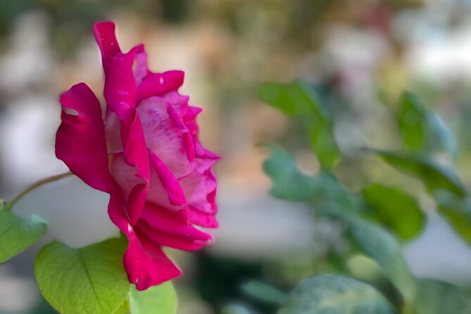 Private Tour to The Alhambra and Generalife from Motril port - Carlos V, Alcazaba, and Generalife: the flow makes sense