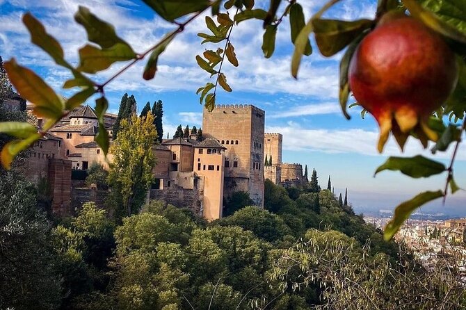 Private Tour to The Alhambra and Generalife from Motril port - Mobility and comfort: how well this plan can work for different needs