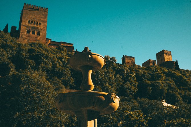 Private Tour to The Alhambra with Nasrid Palaces in Granada - Who This Private Tour Is Best For