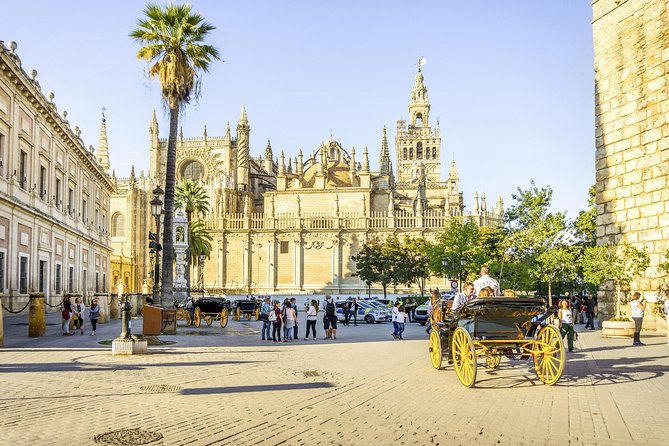 Seville Tour with Alcazar, Cathedral and Giralda from Granada - Seville in One Long Day: What the Schedule Feels Like
