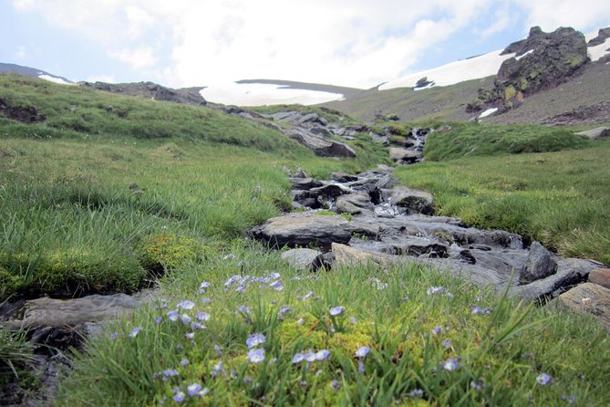 Sierra Nevada Day Trip from Granada. Small group up to 8 pax - Why Sierra Nevada works so well as a day trip