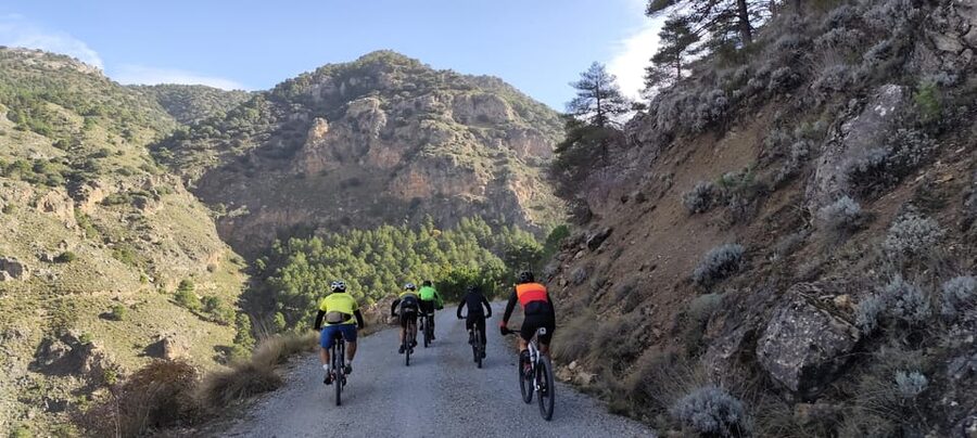 Sierra Nevada Small Group BIKE Tour - Stop 1 and Stop 3: the ride feels like a loop, not a drag