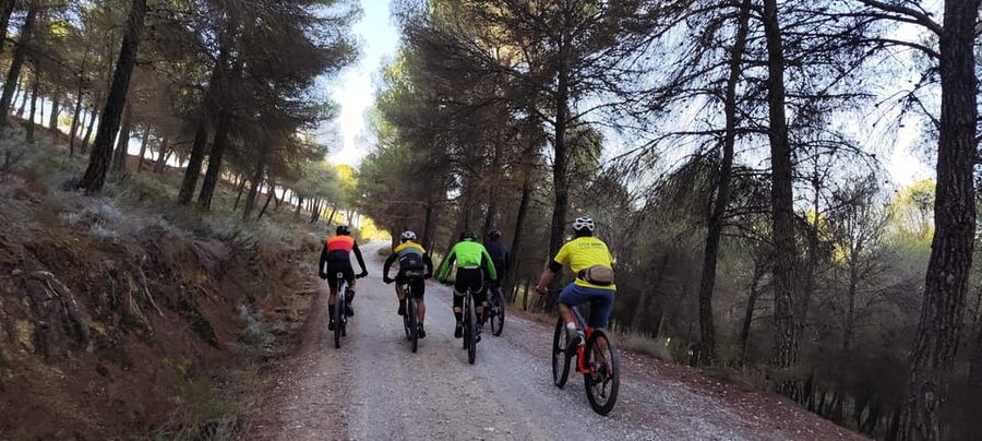 Sierra Nevada Small Group BIKE Tour - The best part: guide support that keeps you confident on technical terrain