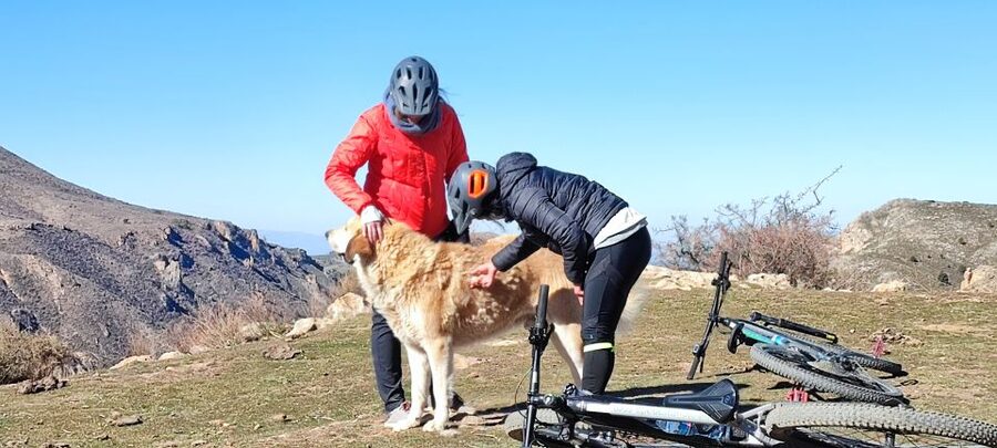Sierra Nevada Small Group E-Bike Tour - Who this tour fits best (and who should skip it)