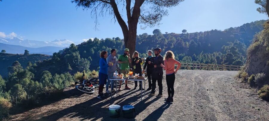 Sierra Nevada Small Group E-Bike Tour - Wildlife moments and guide care: what it feels like in real life