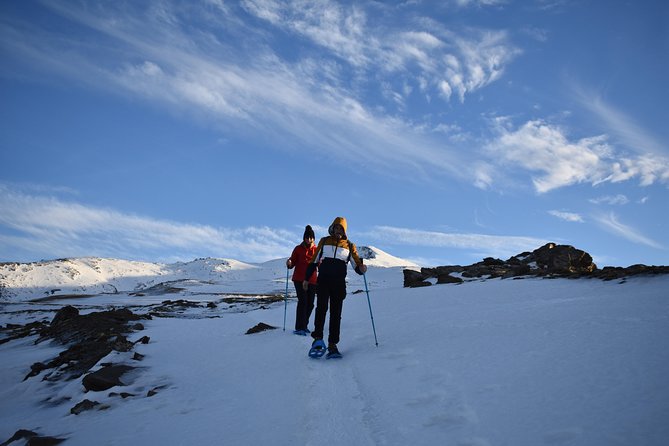 Snowshoe hiking in Sierra Nevada (Granada) - Private Group, English Guide, and Julio’s On-Spot Help