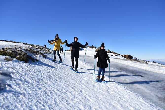 Snowshoe hiking in Sierra Nevada (Granada) - Price and Value: What $62.65 Buys You for 4 Hours
