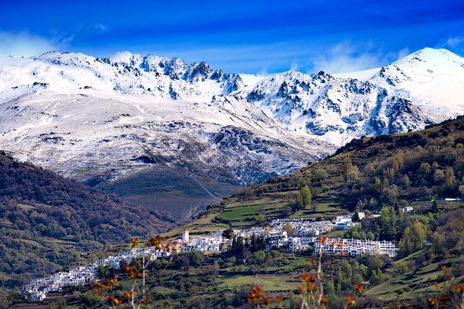 The Unchanged Villages of Alpujarra Small-Group Guided Day Trip - Hotel pickup and a small-group day: what you’re paying for