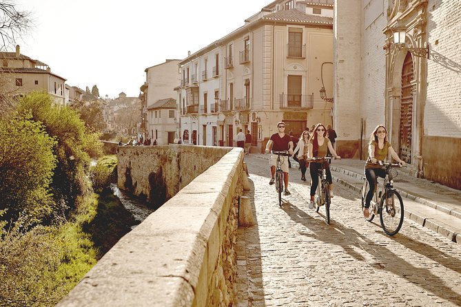 Zooming Through Granada: A Fun-Filled Electric Bike Tour - Price and value: $54.44 for a 2-hour e-bike overview